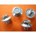 Hex Big Flange Machine Screw